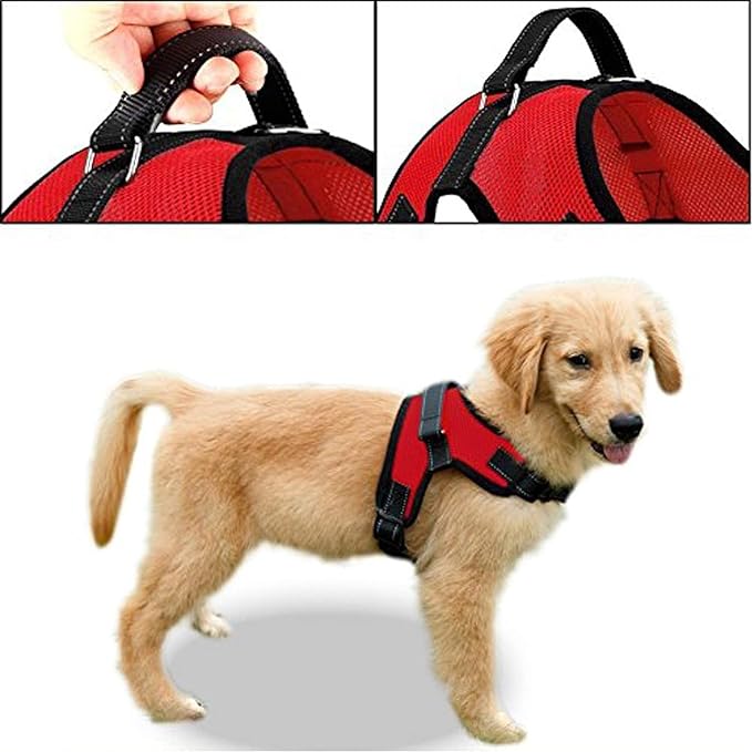 No Pull Reflective Adjustable Dog Harness With Handle- Comfortable Soft All Weather Mesh, Easy On Puppy Harness For Small Medium and Large Dogs (Red) Medium