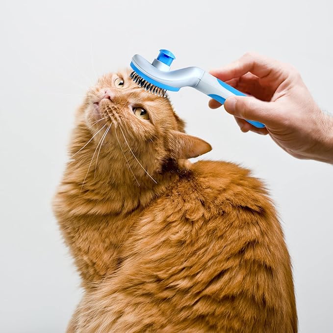 Self-Cleaning Slicker Brush for Pet Grooming - Massaging Tool for Long and Short Hair, Gently Removes Loose Undercoat and Mats