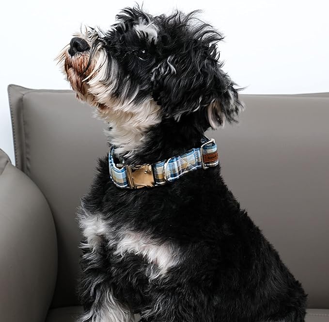 Lionet Paws Boy Dog Collar, Comfortable Adjustable Cute Blue Plaid Collar with Metal Buckle for Male Puppies and Cats Gift, XS, Neck 8-12 inches