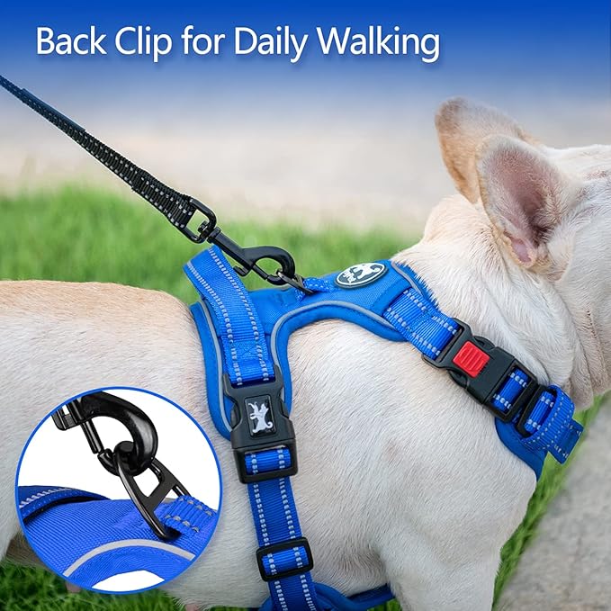 PoyPet No Pull Dog Harness, No Choke Reflective Dog Vest, Adjustable Pet Harnesses with Easy Control Padded Handle for Small Medium Large Dogs(Royal Blue,M)