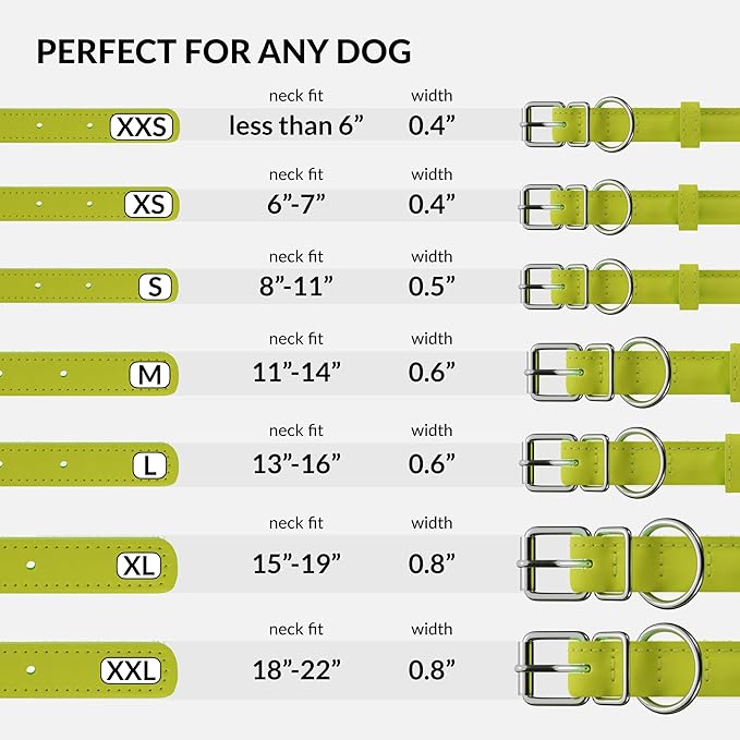 CollarDirect Rolled Leather Dog Collar, Soft Padded Round Puppy Collar, Handmade Genuine Leather Collar Dog Small Large Cat Collars 13 Colors (6 Inch, Lime Green Smooth)