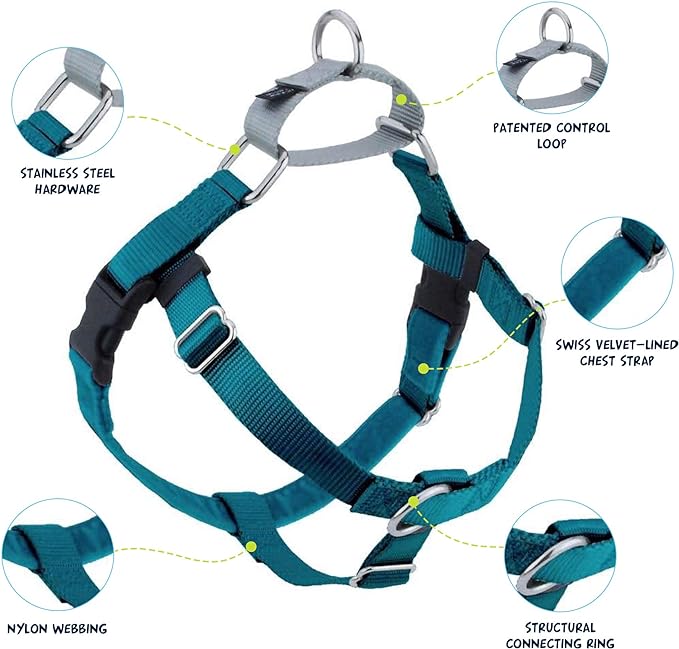 2 Hounds Design Freedom No Pull Dog Harness | Comfortable Control for Easy Walking |Adjustable Dog Harness and Leash Set | Small, Medium & Large Dogs | Made in USA | Solid Colors | 1" LG Teal