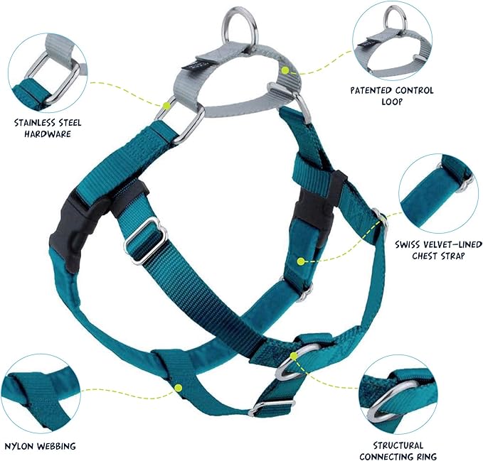 2 Hounds Design Freedom No Pull Dog Harness | Comfortable Control for Easy Walking |Adjustable Dog Harness and Leash Set | Small, Medium & Large Dogs | Made in USA | Solid Colors | 1" MD Teal