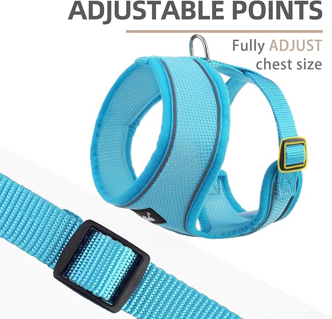 PUPTECK Soft Mesh Dog Harness and Leash Set Pet Puppy Cat Comfort Padded Vest No Pull Harnesses, Solid LightBlue, S