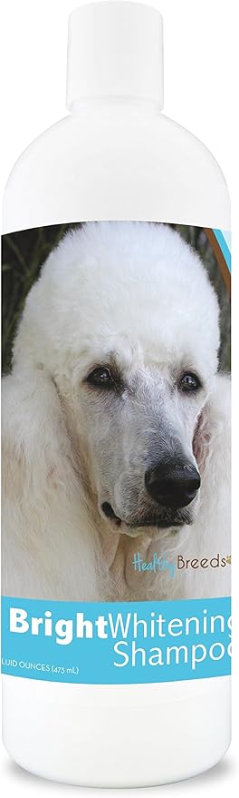 Healthy Breeds Poodle Bright Whitening Shampoo 12 oz