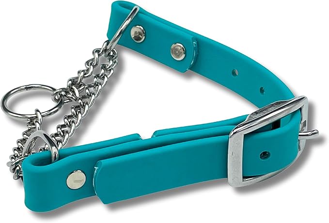 Martingale Collar for Dogs, Biothane, Stainless Steel Hardware, No Pull, Made in The USA, Professional Grade, Extra Large, Teal