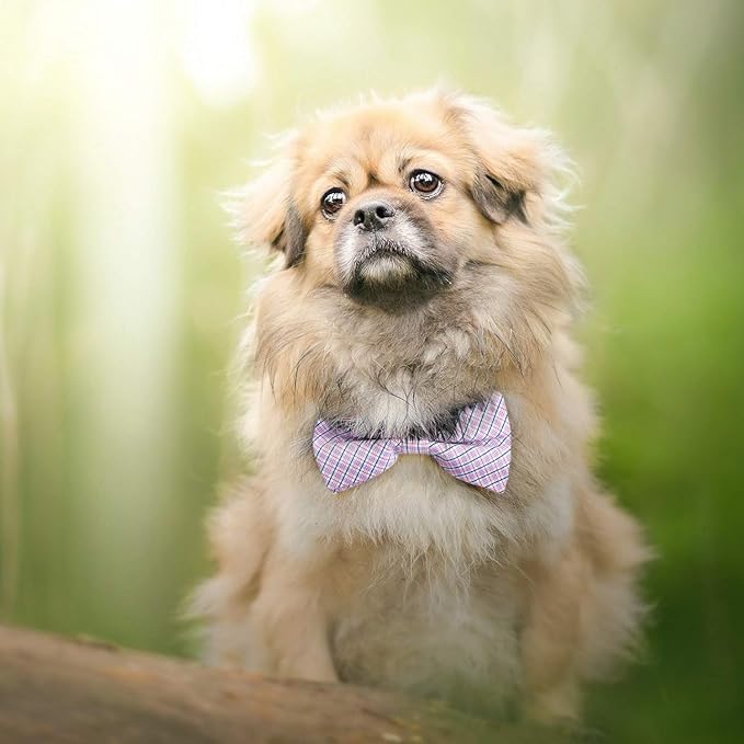 Segarty Dog Bow Tie Plaid, Bowties for Dogs, Adjustable Dog Bow Collar, Pet Grooming Bows for Dogs Cats Boy and Girl Small Medium Large Dogs Wedding Thanksgiving Christmas Costumes Neck Bow Attachment