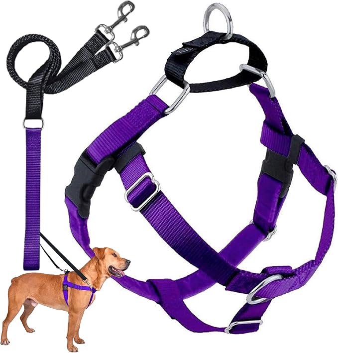 2 Hounds Design Freedom No Pull Dog Harness | Comfortable Control for Easy Walking |Adjustable Dog Harness and Leash Set | Small, Medium & Large Dogs | Made in USA | Solid Colors | 1" MD Purple