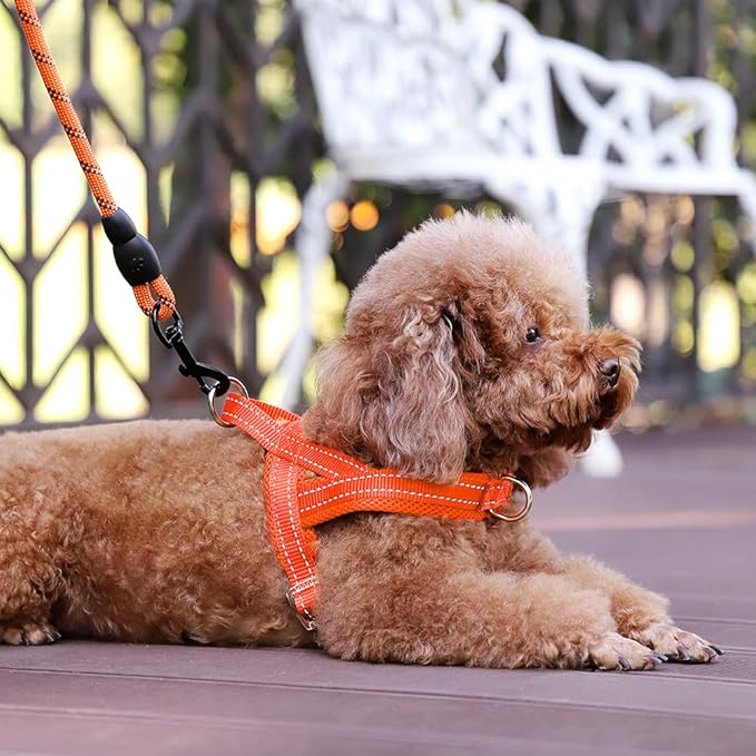 Plutus Pet No Pull Dog Harness with Breathable Mesh Padded, Adjustable Reflective Escape Proof Dog Harness, Quick Fit Dog Vest Harness for Small Medium Large Dogs(S, Orange)