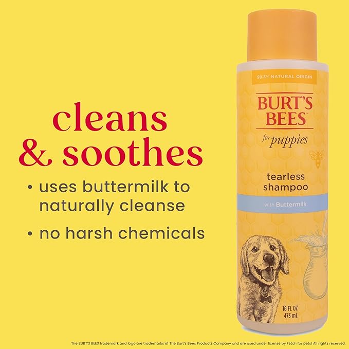 Burt's Bees for Pets Tearless Puppy Shampoo with Buttermilk, 95% Natural Origin Formulas, Shampoo for Puppies - Gentle Dog and Puppy Shampoo Tear Free, Best Puppy Shampoo Tearless, 16 oz