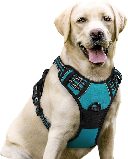rabbitgoo Dog Harness, No-Pull Pet Harness with 2 Leash Clips, Adjustable Soft Padded Dog Vest, Reflective No-Choke Pet Oxford Vest with Easy Control Handle for Large Dogs, Teal, L