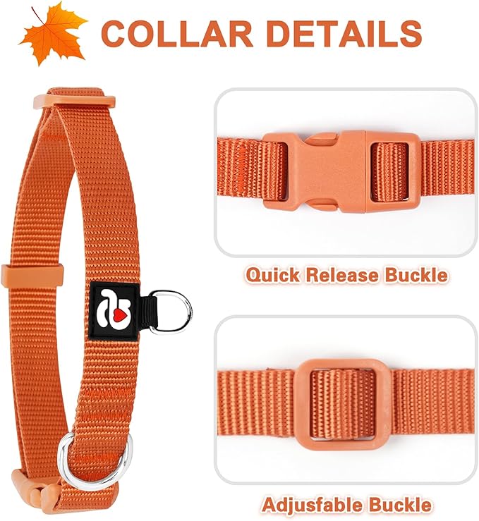 azuza 3 Pack Fall Dog Collars Comfortable and Adjustable Nylon Dog Collars for Puppy Small Dogs, XS (8-12inch)，Ginger Yellow, Rust Orange and Latte Brown