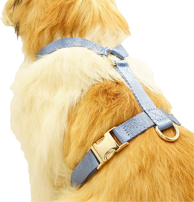 Nylon No Pull Dog Harness with Gold Metal Buckles,Easy Walking and Training Dog Harness (Air Blue, L)