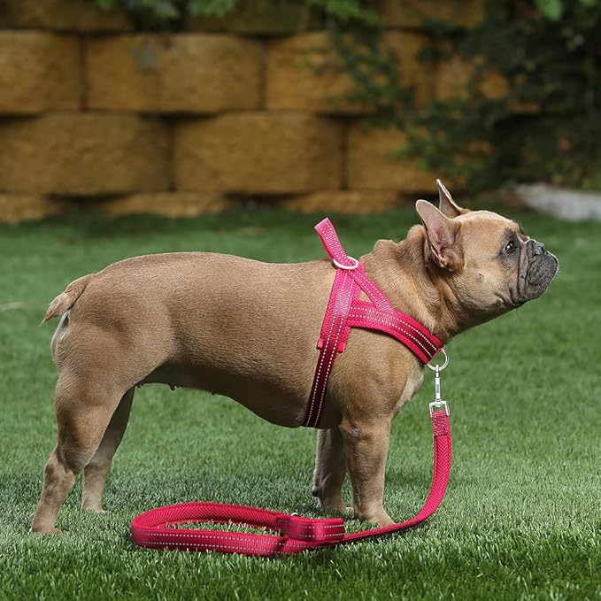 Plutus Pet No Pull Dog Harness with Breathable Mesh Padded, Adjustable Reflective Escape Proof Dog Harness, Quick Fit Dog Vest Harness for Small Medium Large Dogs(M, Pink)