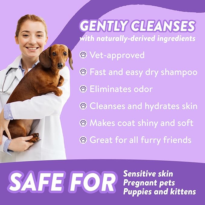 Bodhi Dog Waterless Shampoo - Natural Dry Shampoo for Dogs & Cats - Neutralizes Pet Odor - No Rinse Required - Made of Natural Extracts - Safe for Sensitive Skin - Made in USA - Lavender (8 Fl Oz)