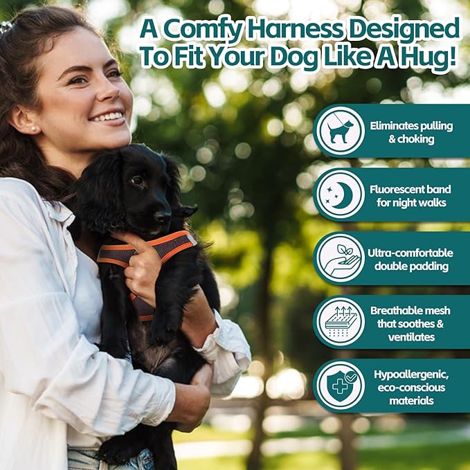 Dog Harness with Multifunction Dog Leash,No Pull Reflective Step-in Harness for Soft Adjustable No Choke Escape Proof,Easy Walk Dog Harness for Medium Dogs (Orange&Dark Grey, M)