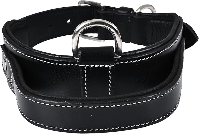 Leather Dog Collar with Handle, 2 Inch Wide Saddle Grade Black Leather Dog Collar for Large Dogs | Heavy Duty, Comfortable, Inner Soft Padded, Strong | (L (Fit Neck Size 18.5"-22.5"), Black)