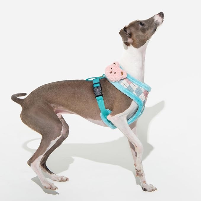Pinkaholic New York Annika Dog Harness Over-The-Head Warm Winter Argyle Pattern Adjustable Chest for Small Dog, Aqua, Large