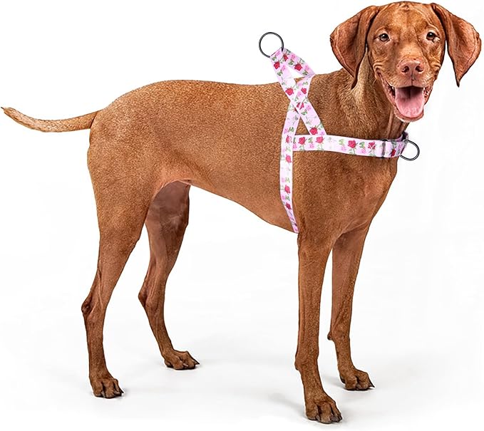 No Pull Dog Harness for Small, Medium, and Large Pets - Floral Pattern Nylon Safety Training Dog Harness (M, Roses)