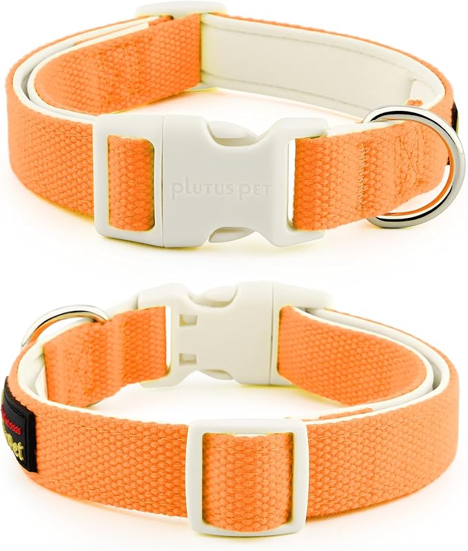 Plutus Pet Cotton Dog Collar, Heavy Duty Collar with Soft Padding, Adjustable and Comfortable for Small Medium and Large Dogs, Orange, XS