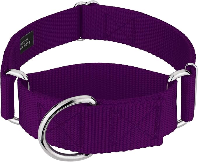 Country Brook Petz 1 1/2 Inch Martingale Heavy Duty Nylon Adjustable Dog Collar for Small, Medium, Large Breeds - Vibrant 17 Color Selection (Purple, Large)
