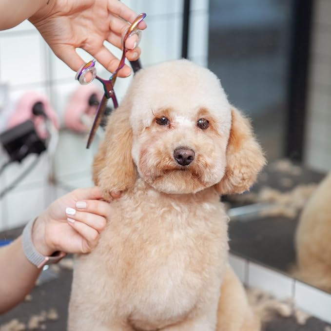 16 PCS Shear Grips Inserts Finger Protector Scissors Finger Rings Silicone Dog Grooming Scissors Accessories Ring Pet Shears Finger Ring Thumb Grips 8 Colors Grooming Shear Finger Ring