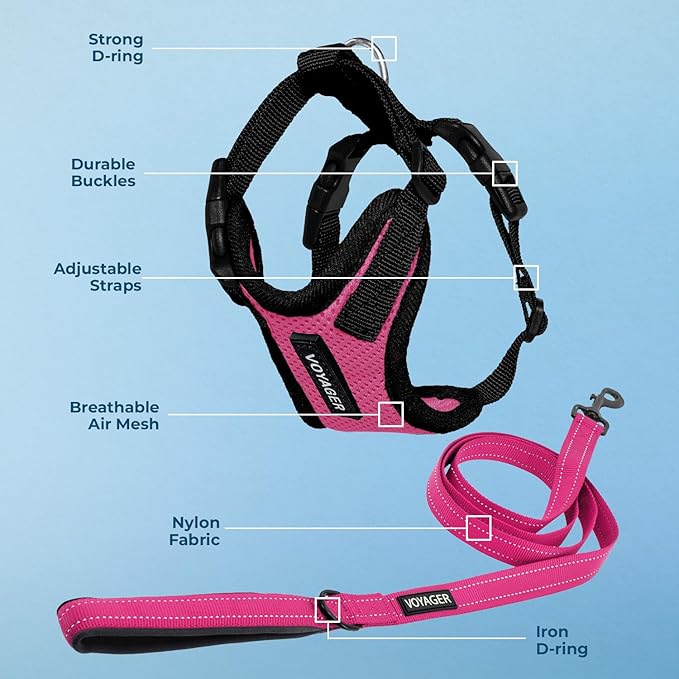 Voyager Step-in Lock Dog Harness w Reflective Dog Leash Combo Set with Neoprene Handle 5ft - Supports Small, Medium and Large Breed Puppies/Cats by Best Pet Supplies - Fuchsia/Black Trim, XS