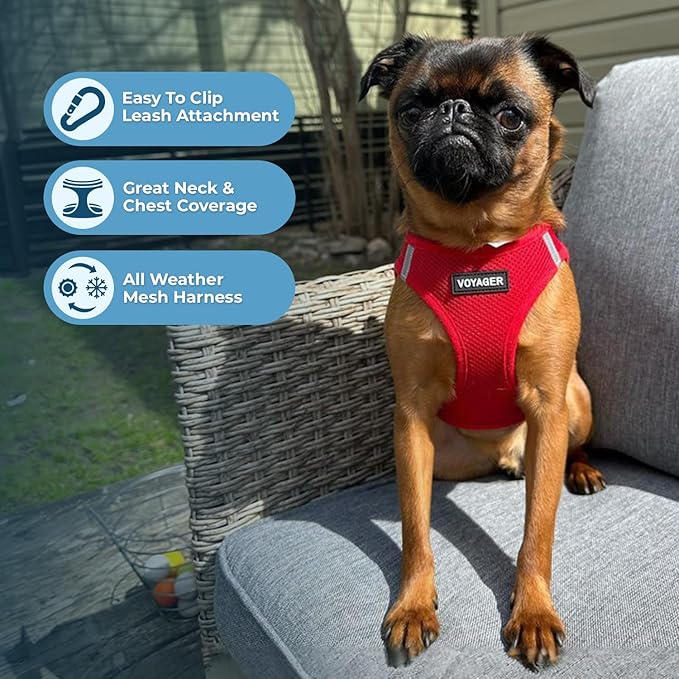 Voyager Step-in Air Dog Harness - All Weather Mesh, Reflective, No Pull Harness for Small, Medium Dogs, Cats - Secure with Hook & Loop Fastener, Buckle, Double D-Rings - Red, M
