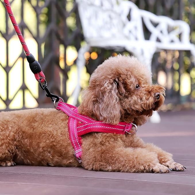 Plutus Pet No Pull Dog Harness with Breathable Mesh Padded, Adjustable Reflective Escape Proof Dog Harness, Quick Fit Dog Vest Harness for Small Medium Large Dogs(S, Pink)