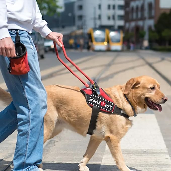 2Pcs Service Dog Patches for Harness, Removable Emotional Support Dog Vest Patches, Black in Training Dog Patch, Working Dog Applique Tactical Dog Equipment for Collar Leash (4×2'')