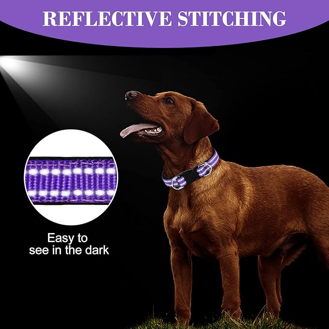 AUAUY Reflective Nylon Dog Collars, Adjustable Classic Pet Collars with Soft Neoprene Padding, Double Security Dual D-Ring and Quick Release Buckle for Small Puppy, Medium and Large Dogs (Purple-M)
