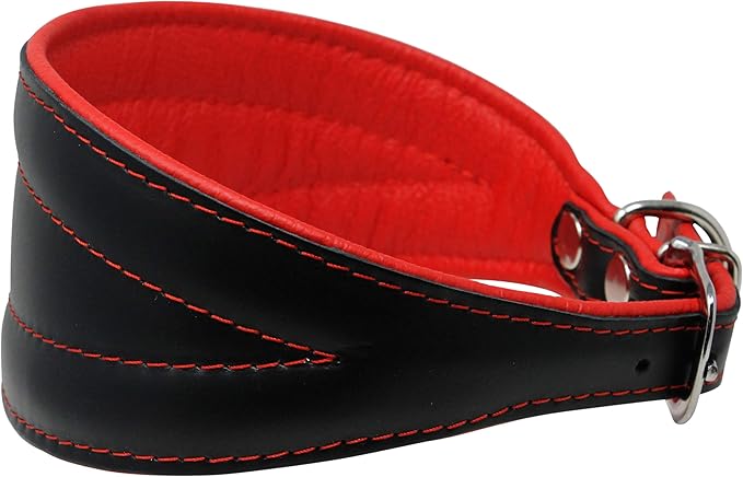 Real Leather Extra Wide Padded Tapered Dog Collar Glossy Black Greyhound Saluki Deerhound Lurcher Whippet Dachshund (11"-13" Neck; 2" Wide, Red)