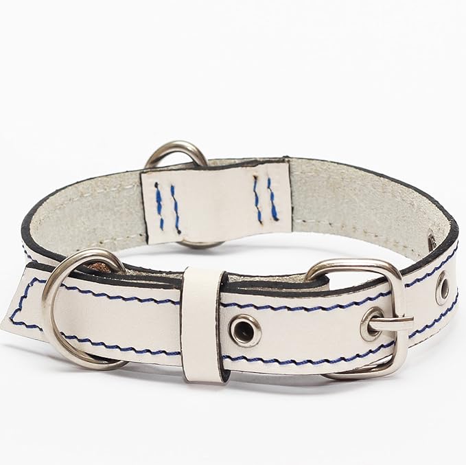Premium Leather Collars with Stainless Steel Buckles (9"-12", White)