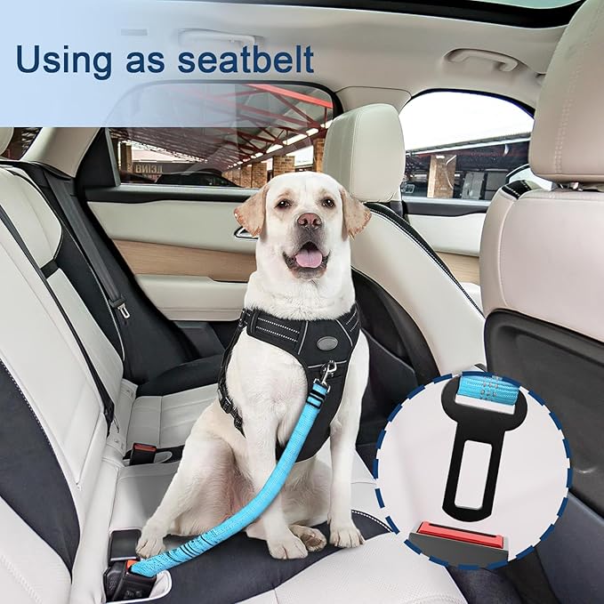 Dog Seat Belt for car, 3 Piece Set Retractable Dog Car Harness 2 Pack Adjustable Seatbelt for Dog in car, Nylon Pet Safety Seat Belts Tether Heavy Duty and Reflective Dog car Leash, Blue