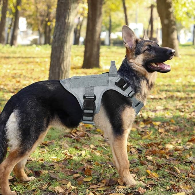 rabbitgoo Tactical Dog Harness for Large Dogs, Heavy Duty Dog Harness with Handle, No-Pull Service Dog Vest Large Breed, Adjustable Military Dog Vest Harness for Training Hunting Walking, Grey, XL