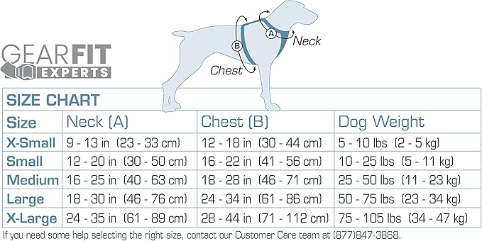 Kurgo Tru-Fit Smart Harness, Dog Harness, Pet Walking Harness, Quick Release Buckles, Front D-Ring for No Pull Training, Includes Dog Seat Belt Tether (Grey, X-Small)