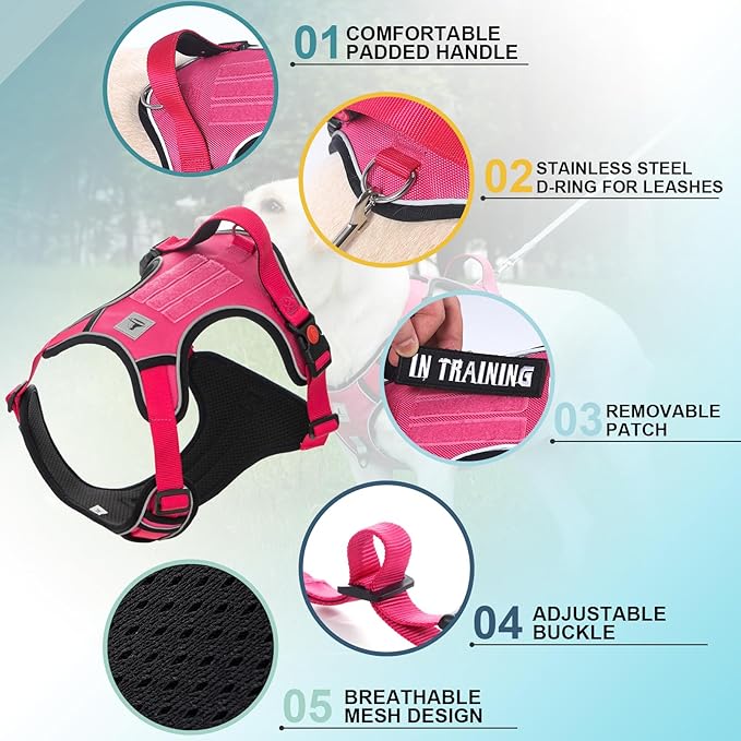 Service Dog Harness, No Pull Pet Harness with 2 Leash Clips, Reflective Adjustable No Choke Dog Vest with 5 PCS Patches,Vest Harness with Easy Control Handle Walking,Hiking,Training