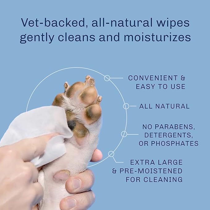TrueBlue Chamomile & Honeysuckle Pure & Sure Puppy Wipes – Pre-Moistened Puppy Pads for Cleaning Dirty Paws, Coats, Dog Hair – Extra Large – 8”x7” – 100 Count