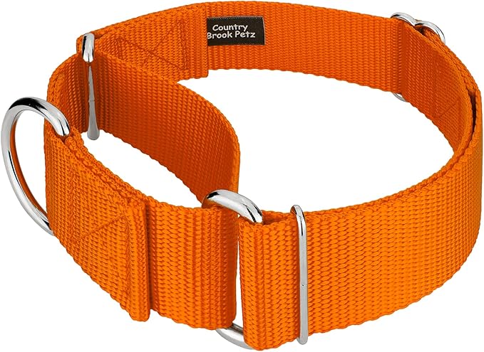 Country Brook Petz 1 1/2 Inch Martingale Heavy Duty Nylon Adjustable Dog Collar for Small, Medium, Large Breeds - Vibrant 17 Color Selection (Orange, Extra Large)