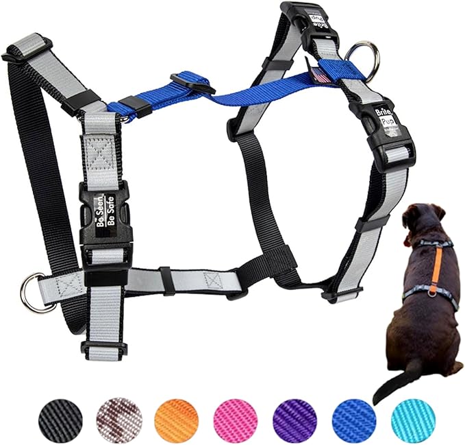 No Pull Harness with Fully Customizable Fitment for XL Dogs - 3M Reflective Heavy Duty Harness for Walking & Training - No Choke Comfortable Collar Design, Made in USA XL-Roy Blue