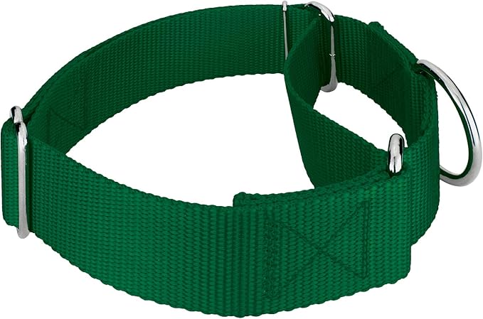 Country Brook Petz 1 1/2 Inch Martingale Heavy Duty Nylon Adjustable Dog Collar for Small, Medium, Large Breeds - Vibrant 17 Color Selection (Green, Extra Large)