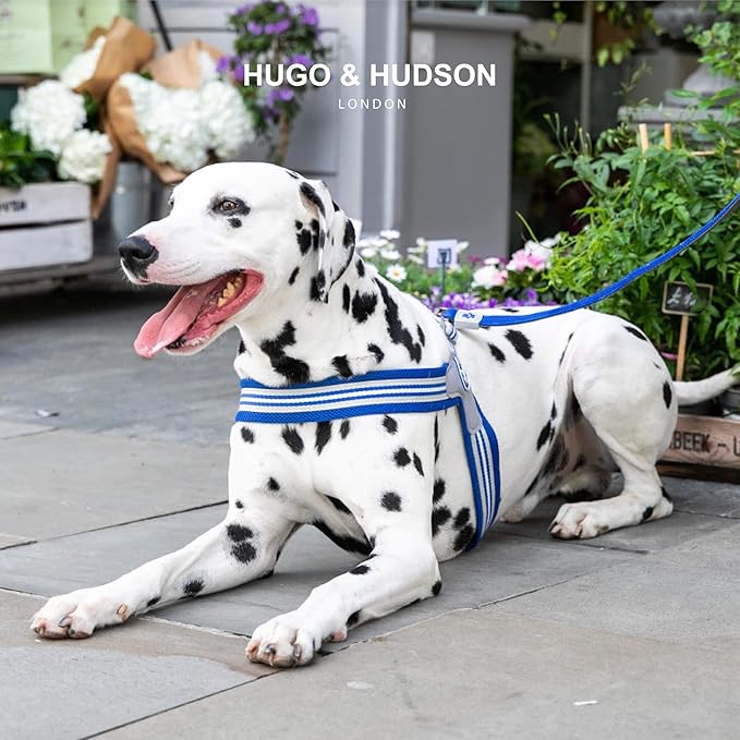 HUGO & HUDSON Easy Walk Dog Harness, Adjustable Quick Dry No-Pull Pet Harness, Royal Blue, Size 2