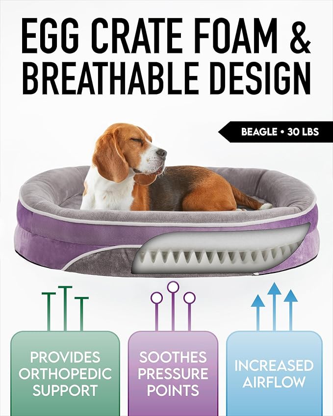 OhGeni Orthopedic Dog Bed for Large Dogs, Dog Couch Design with Egg Foam Support, Removable, Washable Plush Cover and Non-Slip Bottom with Four Sided Bolster Cushion (Purple)
