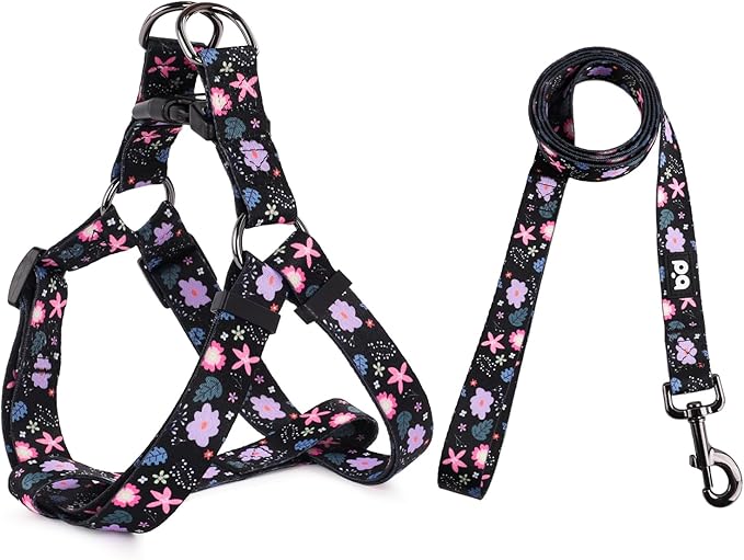 QQPETS Dog Harness Leash Set Adjustable Heavy Duty No Pull Halter Harnesses for Small Medium Large Breed Dogs Back Clip Anti-Twist Perfect for Walking