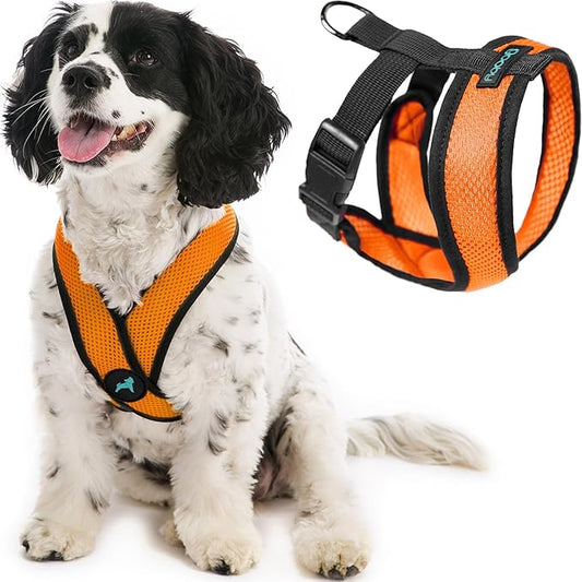 Gooby Comfort X Head in Harness - Orange, Small - No Pull Small Dog Harness, Patented Choke-Free X Frame - On The Go Dog Harness for Medium Dogs No Pull or Small Dogs for Indoor and Outdoor Use
