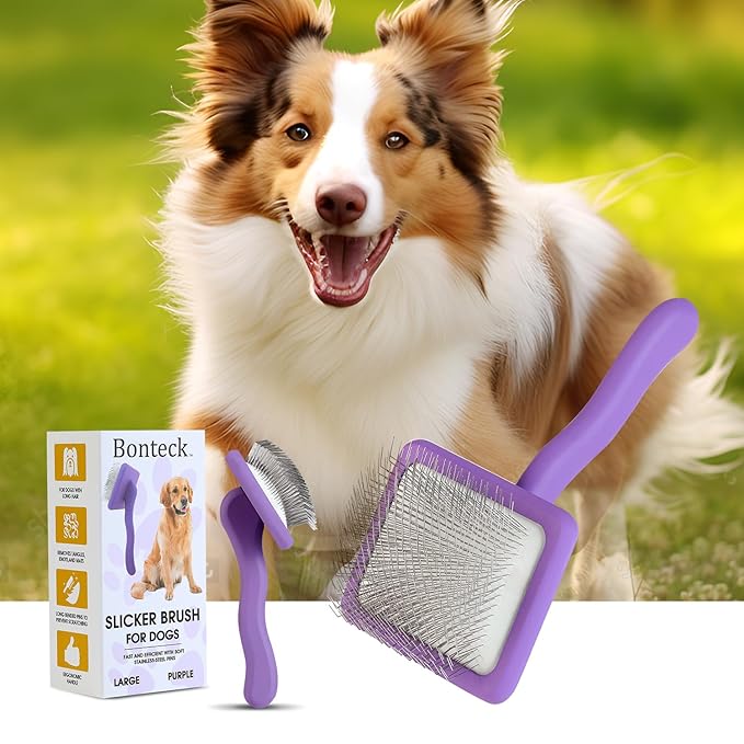 Dog Slicker Brush for Grooming Pet Hair, Large Size, Purple, Long Haired Brush For Dogs (Poodles, Goldendoodles, Labradoodles), Long Pin Brush For Dematting