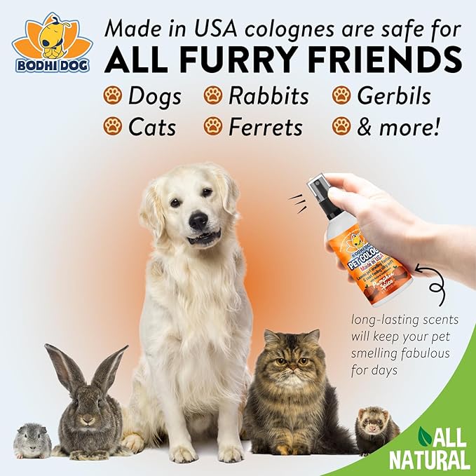 Bodhi Dog Natural Dog Cologne (Pumpkin Spice) - Premium Scented Deodorizing Pet Perfume with Conditioner for Dogs & Cats - Keeps Pets Fresh & Clean - Gentle and Safe Formula, Made in USA (4 Fl Oz)