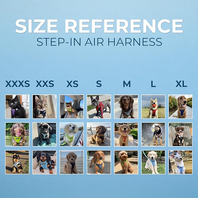 Voyager Step-in Air Dog Harness - All Weather Mesh, Reflective, No Pull Harness for Small, Medium Dogs, Cats - Secure with Hook & Loop Fastener, Buckle, Double D-Rings - Lime Green, S