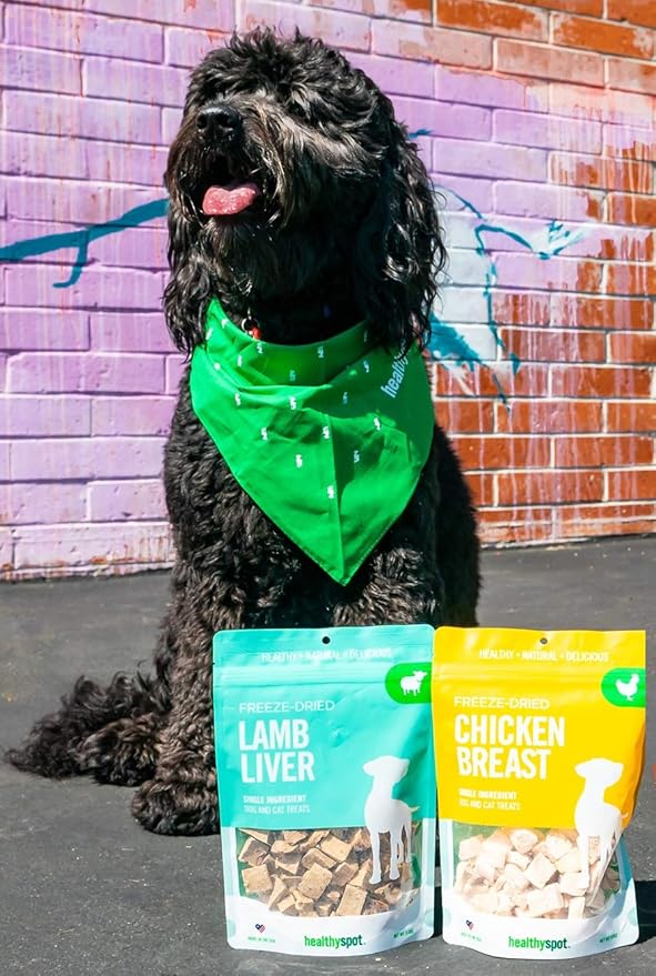 Healthy Spot / Mind Body Bowl - 2.5 oz Chicken Breast Freeze-Dried Treats - Healthy Snacks for Dogs and Cats, 1 Pack