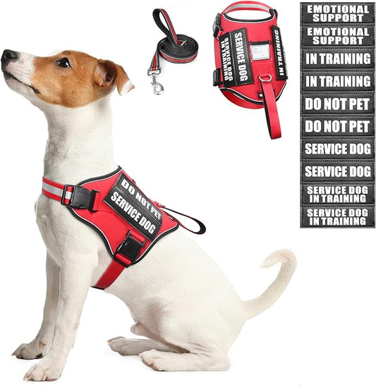 Service Dog Harness and Leash Set, Training Dog Vest with 10 Dog Patches, Emotional Support Therapy Dog Vest Harness for Small Medium Large and Extra Large Dogs(Red, S)
